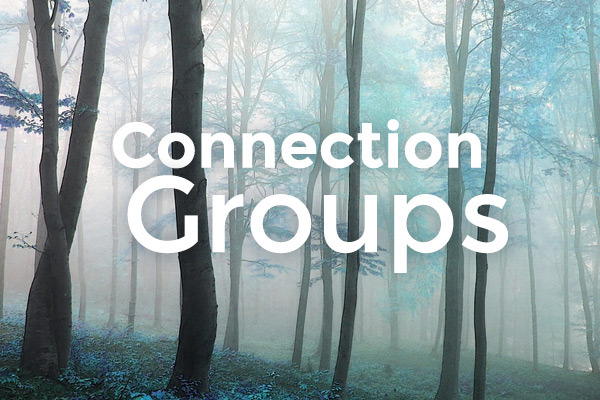 Connection Groups grupos de conexion