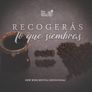 Read more about the article Recogerás lo que siembras.