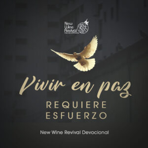 Read more about the article Vivir en paz requiere esfuerzo