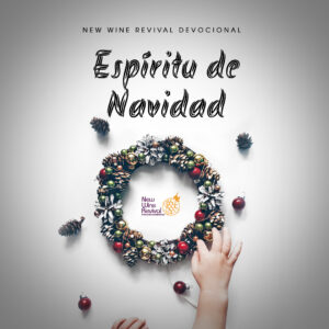 Read more about the article Espíritu de Navidad