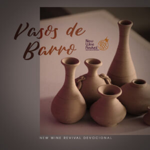 Read more about the article Vasos de barro