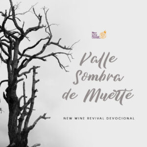 Read more about the article Valle Sombra de Muerte
