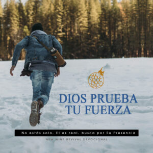 Read more about the article Dios prueba tu fuerza