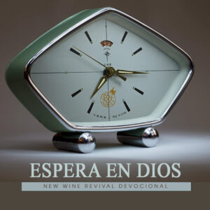 Read more about the article Espera en Dios