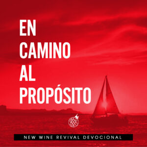 Read more about the article En camino al propósito