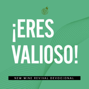 Read more about the article Eres valioso!