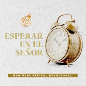 Read more about the article Esperar en el Señor