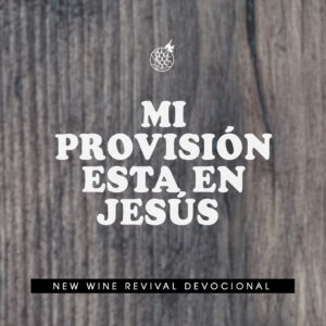 Read more about the article Mi provisión esta en Jesús