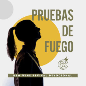 Read more about the article Pruebas de Fuego