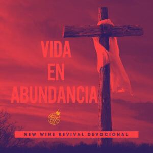 Read more about the article Vida en Abundancia