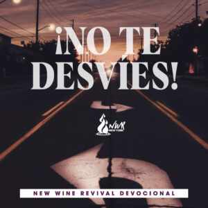 Read more about the article ¡No te desvíes!