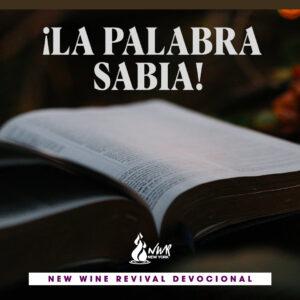 Read more about the article ¡La palabra sabia!
