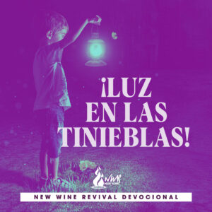 Read more about the article ¡Luz en las tinieblas!