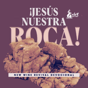 Read more about the article ¡Jesús nuestra Roca!