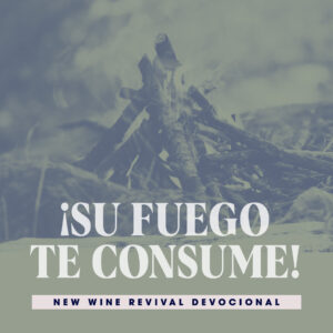 Read more about the article ¡Su Fuego te consume!