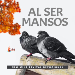 Read more about the article Al ser mansos