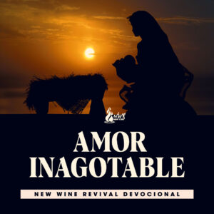 Read more about the article Amor Inagotable