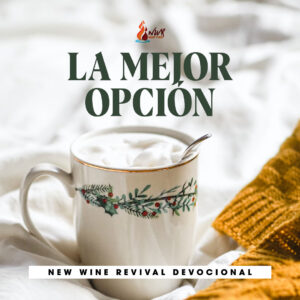 Read more about the article La mejor opción