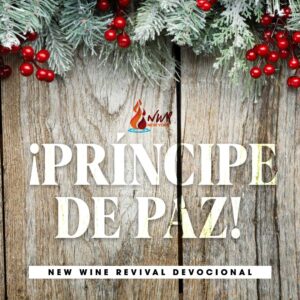Read more about the article ¡Príncipe de Paz!