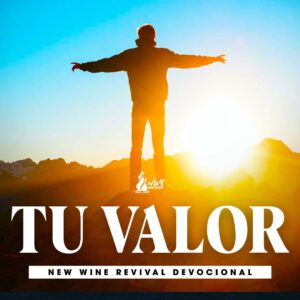 Read more about the article Tu Valor