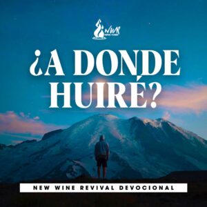 Read more about the article ¿A donde huiré?