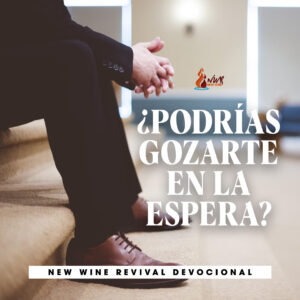 Read more about the article ¿Podrías gozarte en la espera?