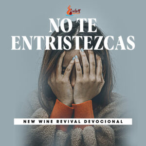 Read more about the article No te entristezcas