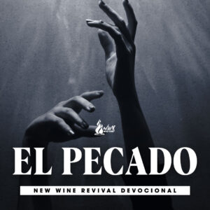 Read more about the article El Pecado