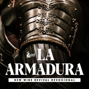 Read more about the article La Armadura