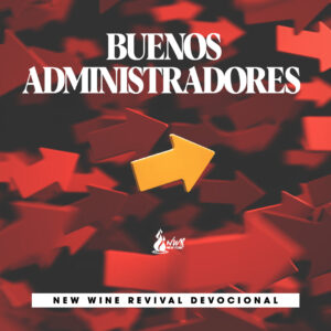 Read more about the article Buenos administradores