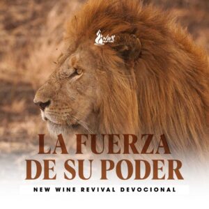 Read more about the article La Fuerza de Su Poder (Efesios 1:19-23)
