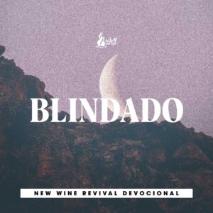 Read more about the article Blindado