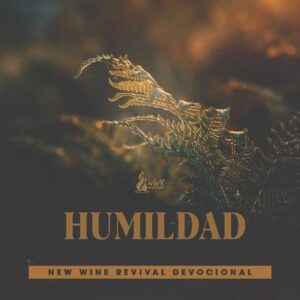 Read more about the article Humildad