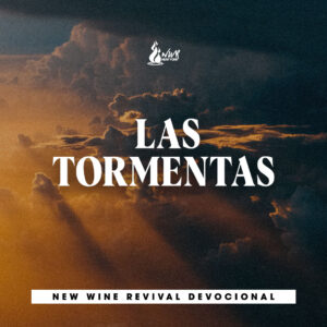 Read more about the article Las Tormentas