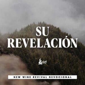Read more about the article Su Revelación