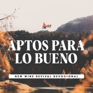 Read more about the article APTOS PARA LO BUENO