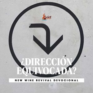 Read more about the article ¿DIRECCIÓN EQUIVOCADA?