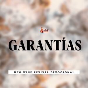 Read more about the article GARANTÍAS