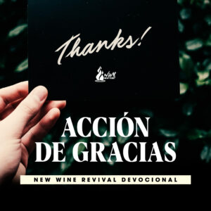 Read more about the article Acción de Gracias