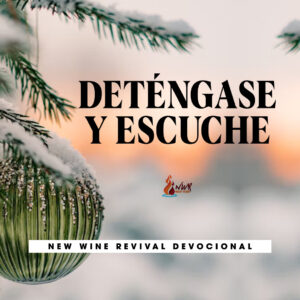 Read more about the article DETÉNGASE Y ESCUCHE