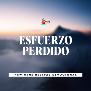 Read more about the article ESFUERZO PERDIDO