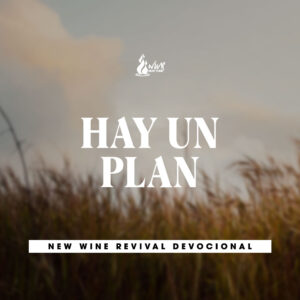 Read more about the article HAY UN PLAN