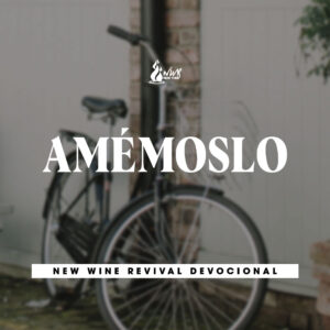Read more about the article AMÉMOSLO