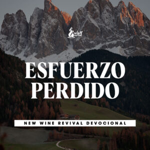 Read more about the article ESFUERZO PERDIDO