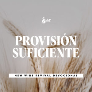 Read more about the article PROVISIÓN SUFICIENTE