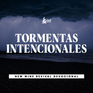Read more about the article TORMENTAS INTENCIONALES