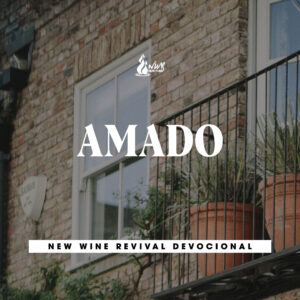 Read more about the article Amado