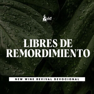 Read more about the article LIBRES DE REMORDIMIENTO