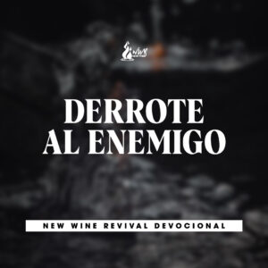 Read more about the article Derrote al enemigo
