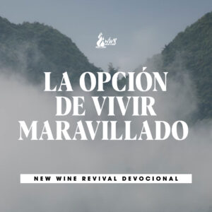 Read more about the article La opción de vivir maravillado